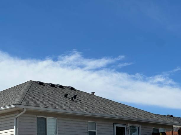 Best Solar Panel Roofing Installation  in , SC